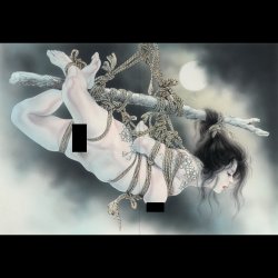 Photo5: YOKO/KANAME OZUMA WORKS SHIBARI & IREZUMI ART [ YOKO/KANAME OZUMA]